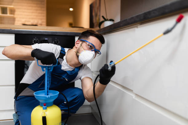Best Pest Control Treatment  in Dahlgren, VA