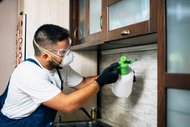 Best Affordable Pest Control Services  in Dahlgren, VA