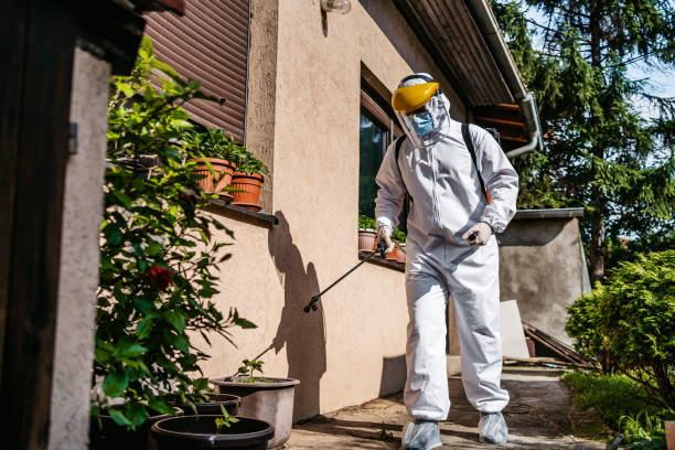 Best Best Pest Control Companies  in Dahlgren, VA