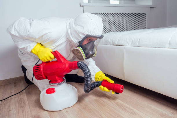 Best Insect Control  in Dahlgren, VA