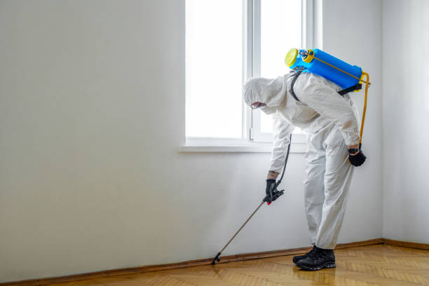 Best Wildlife Control Services  in Dahlgren, VA