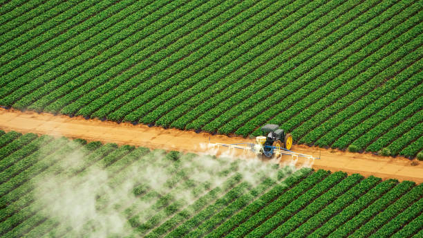 Best Commercial Pest Control Services  in Dahlgren, VA