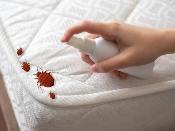 Insect Control in Dahlgren, VA
