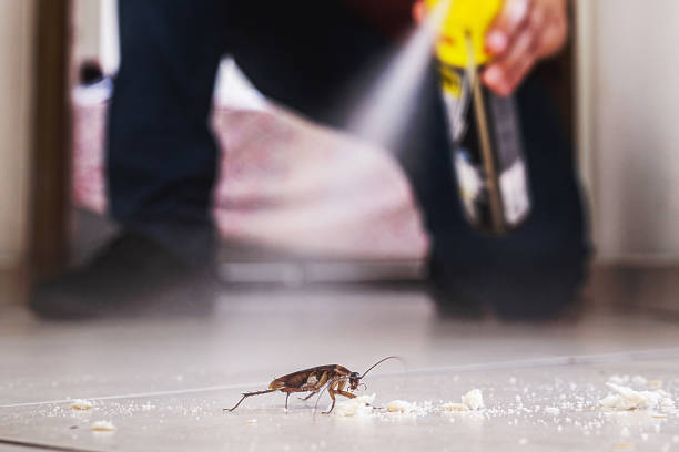 Best Wasp Removal Services  in Dahlgren, VA